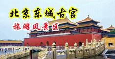 www,操b中国北京-东城古宫旅游风景区